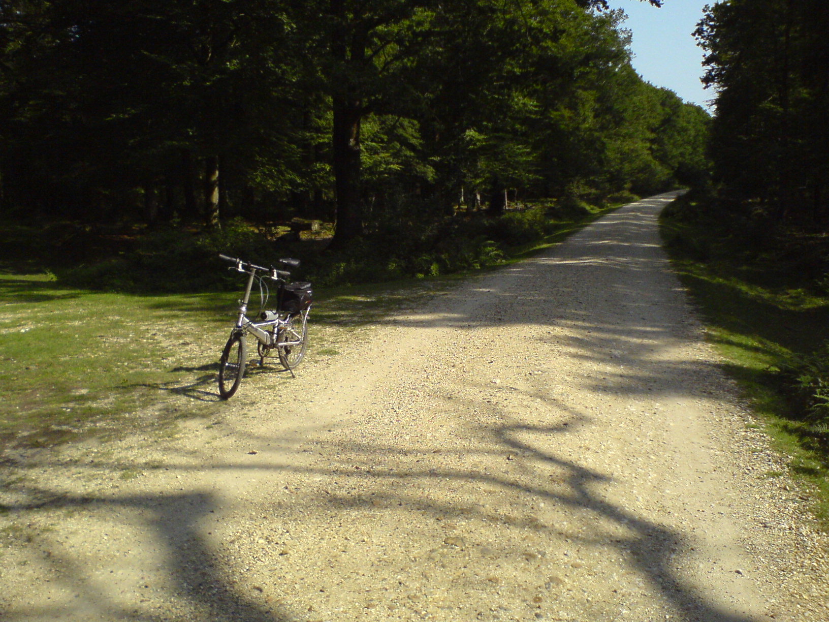 New Forest Cycling