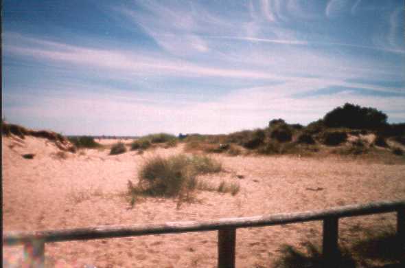 Shell Bay